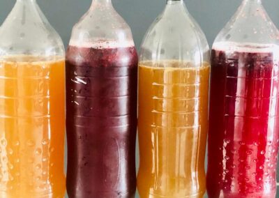 Kombocha Health Drinks: First range of SOUL signature Kombocha: lemon & ginger / blueberry