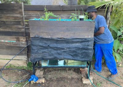 Aquaponics tank setup