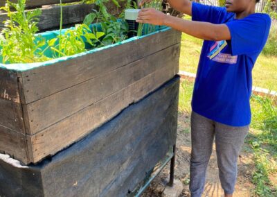 Latest mini aquaponics system for sale.