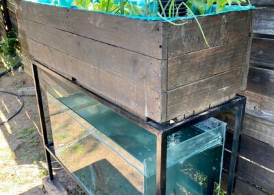 Latest mini aquaponics system for sale.