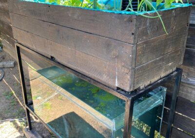 Latest mini aquaponics system for sale.