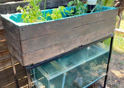 Latest mini aquaponics system for sale.