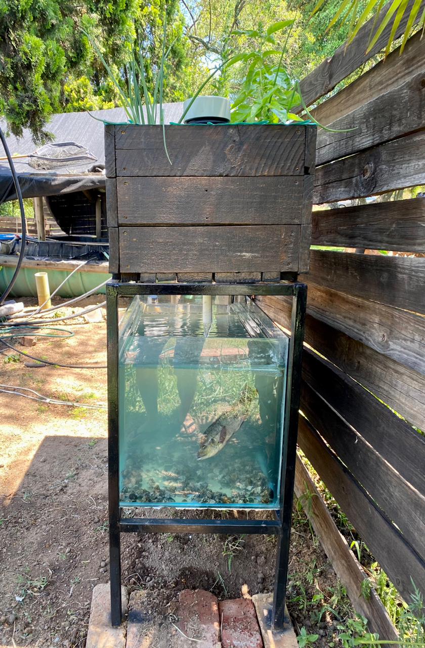 SOUL Mini-Aquaponics System Latest mini aquaponics system for sale.