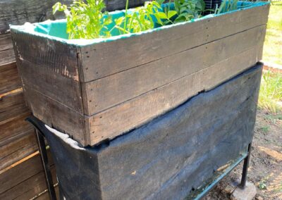 Latest mini aquaponics system for sale.