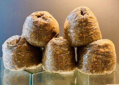 Prepared fruiting blocks for shiitake mushrooms