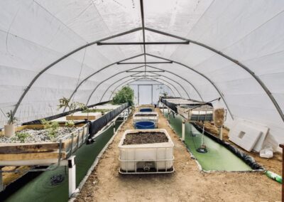 Aquaponics Farm Setup