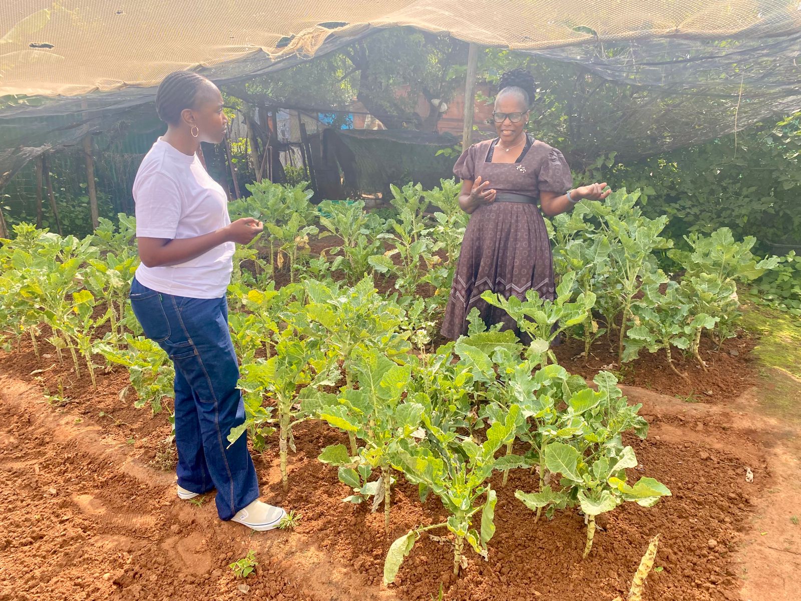 SOUL - Setting up a stove that uses biogas